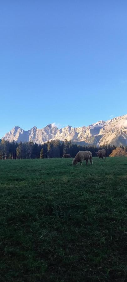 Landhaus-Koenigsberg, Vorberg 360 Ebenguetlweg Ramsau am Dachstein Kültér fotó
